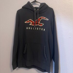 Men’s Hollister Hoodie